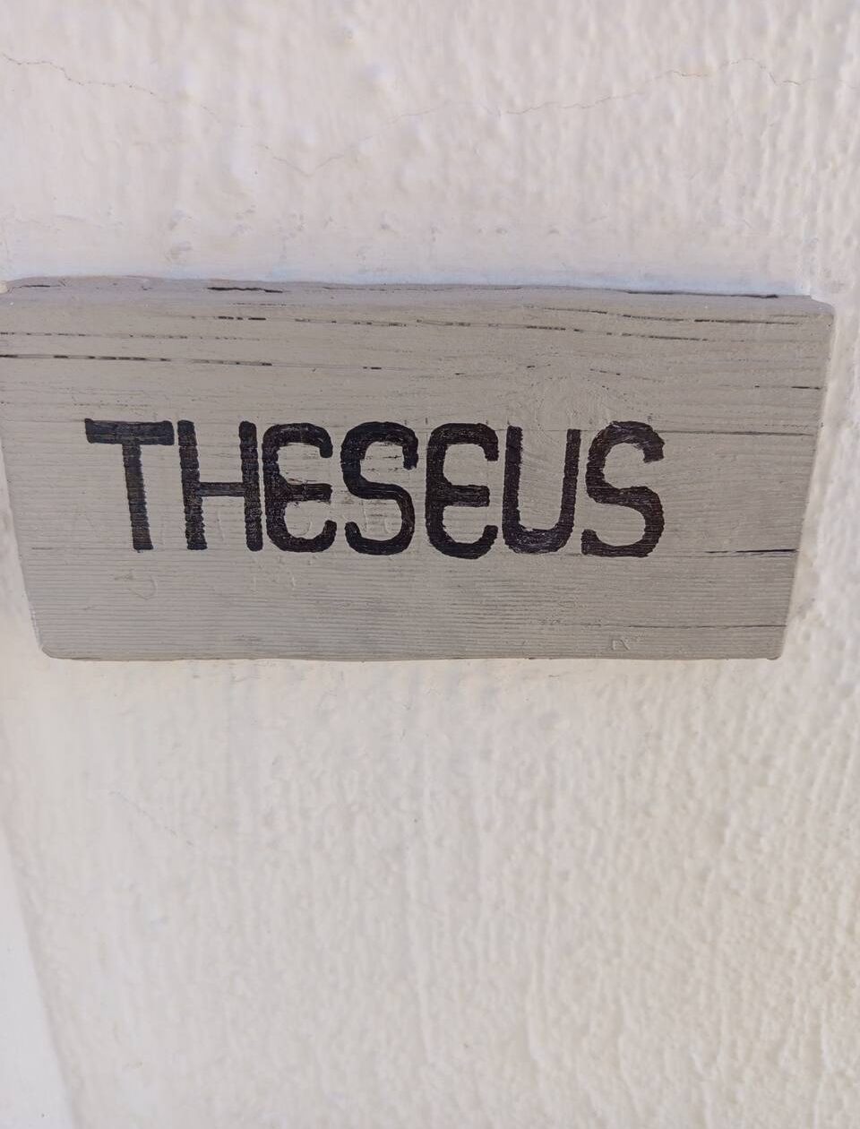 Theseus room photo 4
