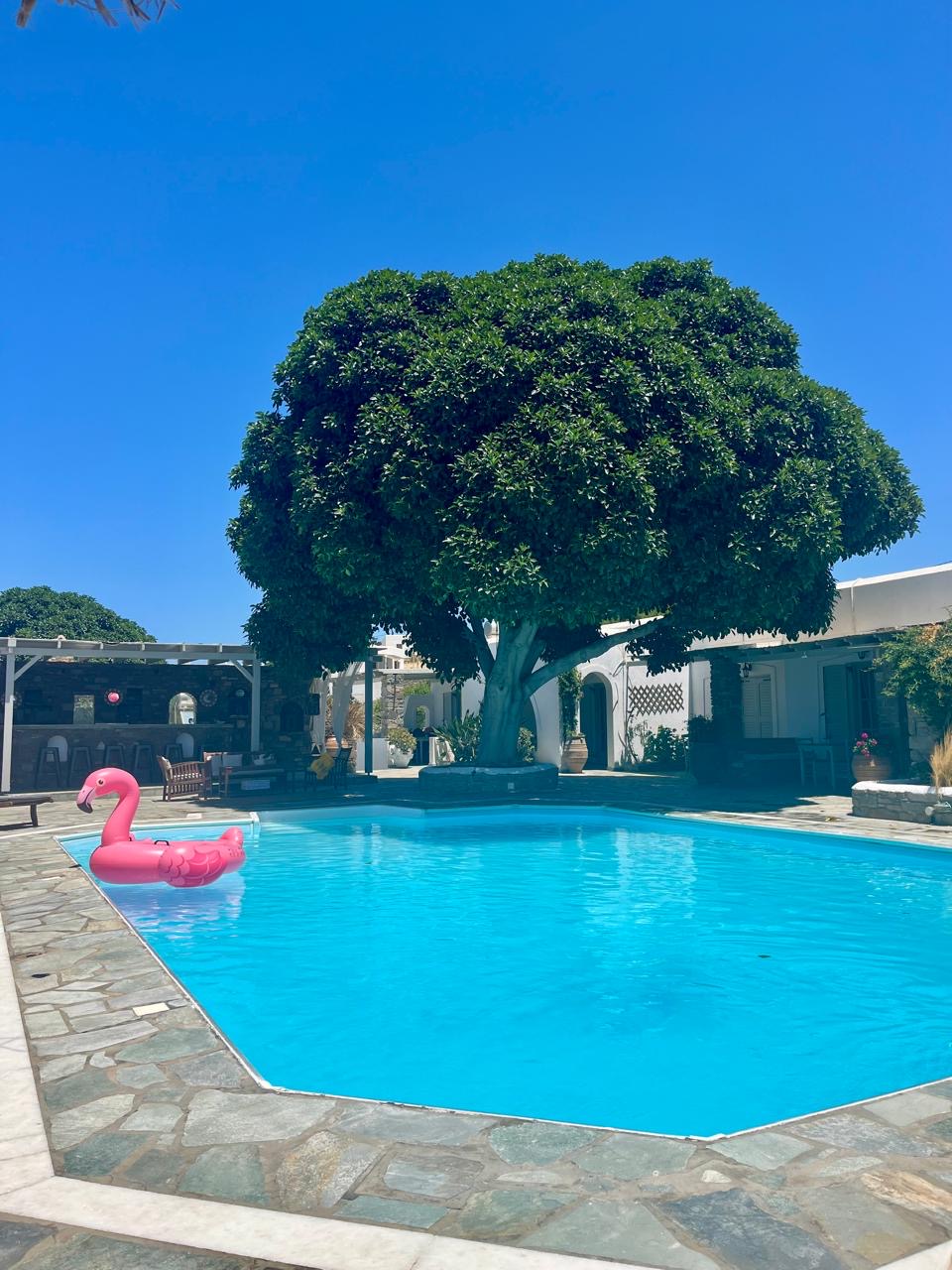 ba91b84e 03ba 4236 9e85 d9c686aded5f